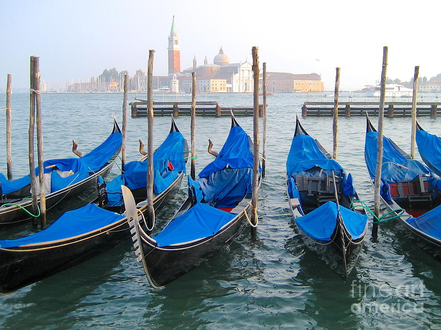 Gondolas Photograph by Suzanne Oesterling