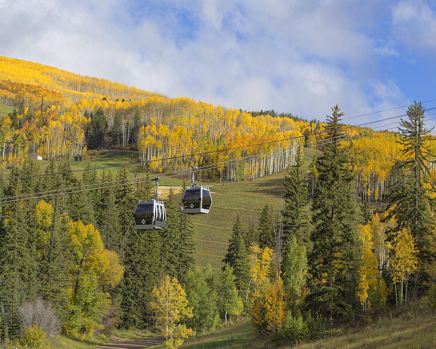 Mountain Photograph - Gondolas Vail Colorado by TN Fairey