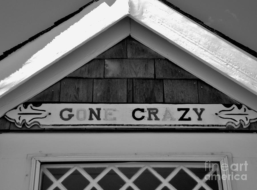 Cottage Photograph - Gone Crazy by Lori-Anne Fay