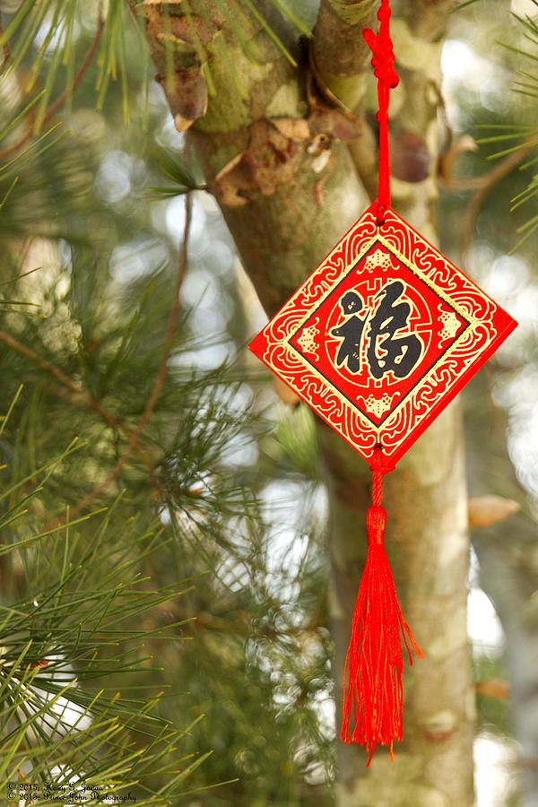 Gong Xi Fa Cai - Happy New Year - 1  Photograph by Hany J