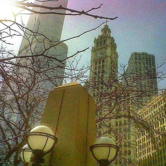 Chicago Photograph - Good #chicago Morning! #at_diff by Cici Corley-Washington