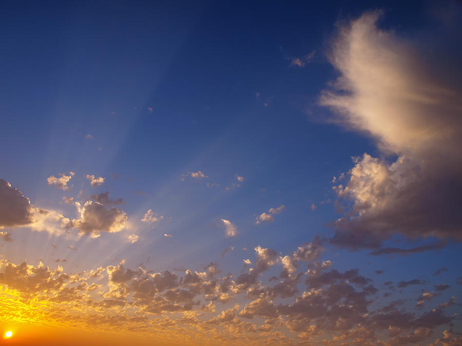 Skyline Photograph - Soaring by Tom Druin