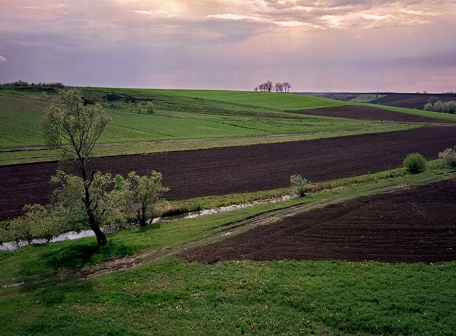 Good Earth. Serbia Photograph by Juan Carlos Ferro Duque