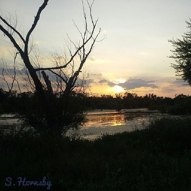 Summer Photograph - Good Evening! !
#sunset #sun #trees by Samantha Hornsby