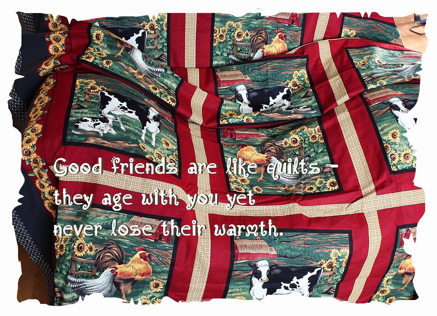 Good Friends Are Like Quilts Photograph by Barbara A Griffin