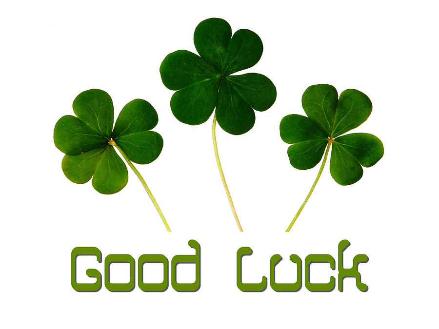 Good Luck Poster Digital Art by Celestial Images