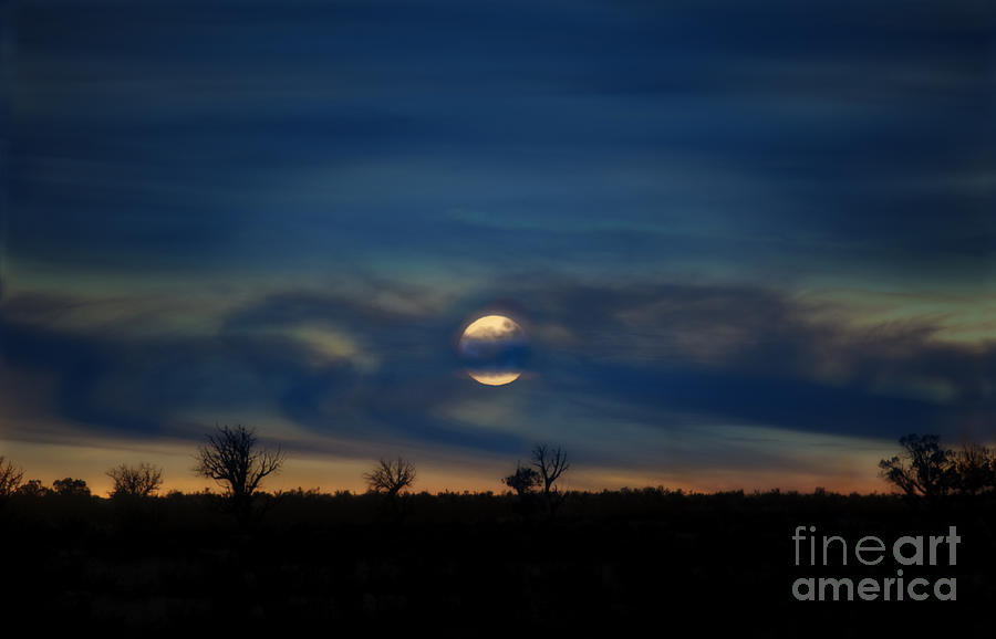Space Photograph - Good Moon Rising by Lee Craig