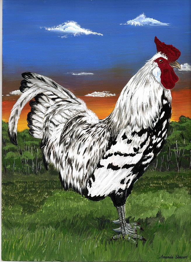 Rooster Painting - Good Morning by Amanda Hukill