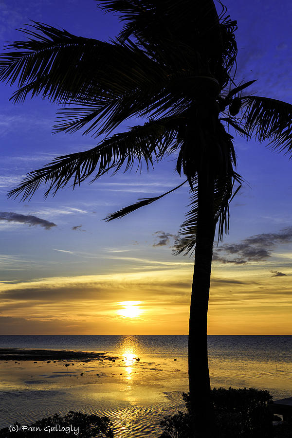 Good Morning Florida Keys III Photograph by Fran Gallogly