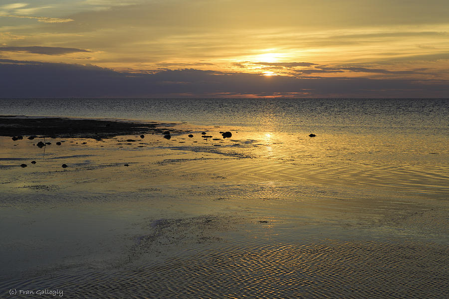 Good Morning Florida Keys V Photograph by Fran Gallogly