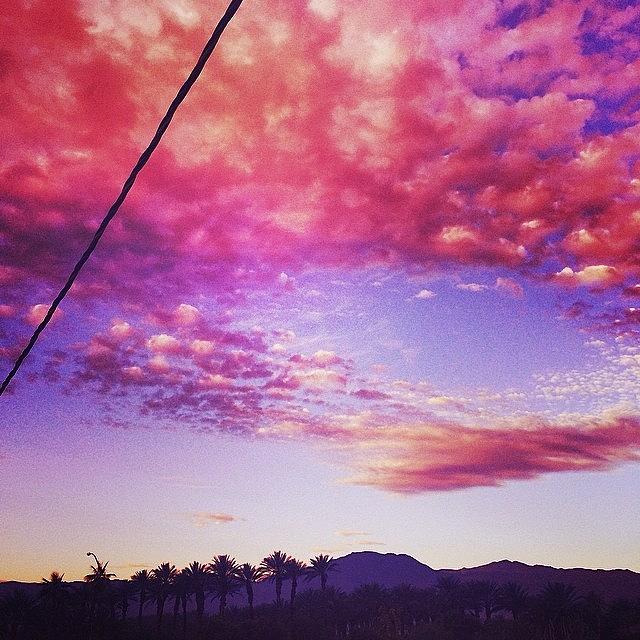 Good Morning, Indio Photograph by Samantha Ouellette