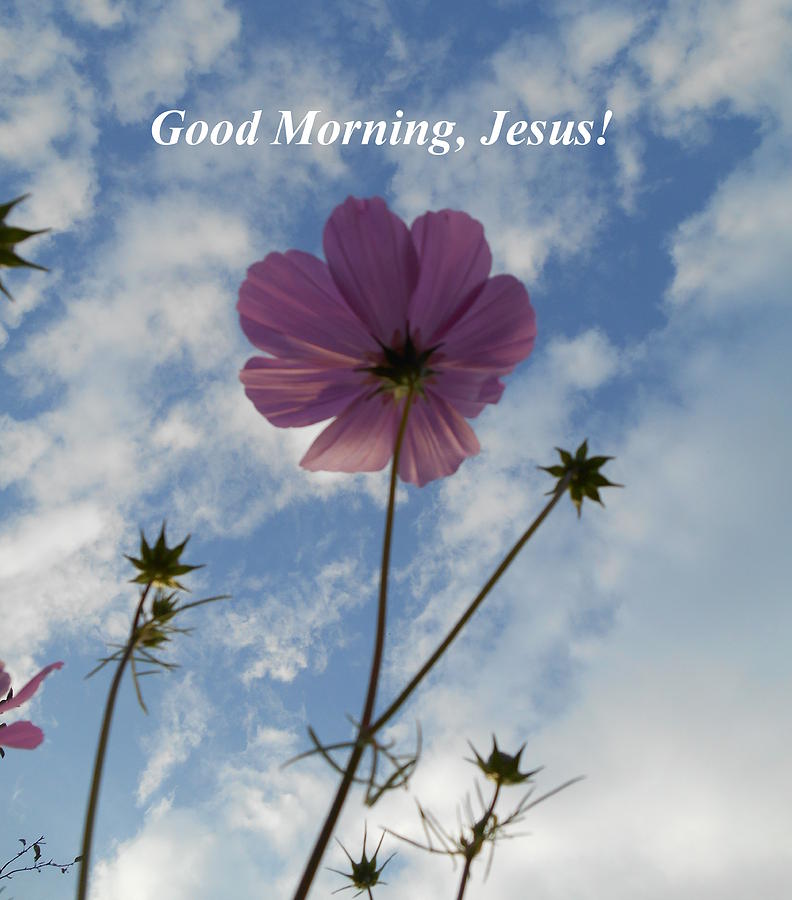 Good Morning Jesus Photograph by Diannah Lynch