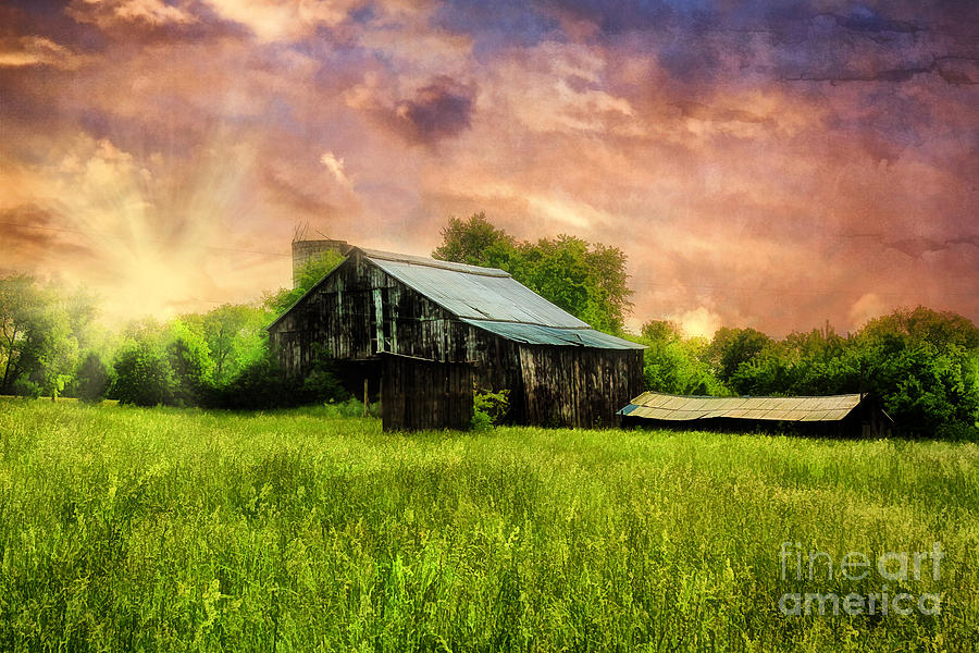 Summer Photograph - Good Morning Kentucky by Darren Fisher