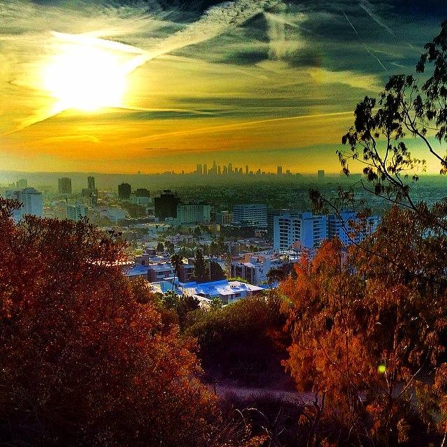 Hollywood Photograph - #good #morning #la #runyon #yeahbuddy by Thewinery Wine