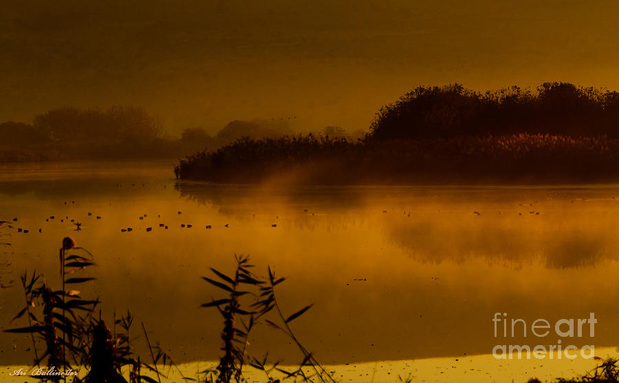 Good Morning Lake hula 03 Photograph by Arik Baltinester