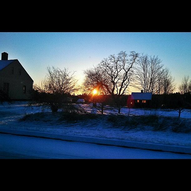 Beautiful Photograph - Good Morning Maine by Sarah Watson