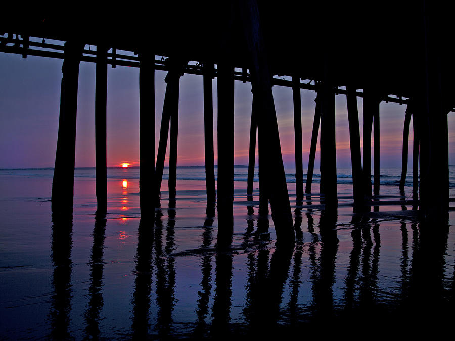 Old Photograph - Good Morning Old Orchard Silhouette by Betsy Knapp Old Photograph - Good Morning Old Orchard Silhouette by Betsy Knapp