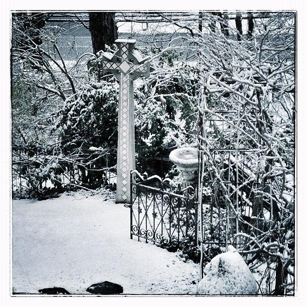 Winter Photograph - Good Morning #saturn #snow  Had An Inch by Teresa Mucha