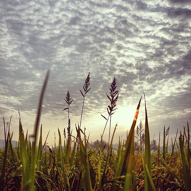 Landscape Photograph - Good Morning #sun #sawarna #indonesia by Dani Daniar