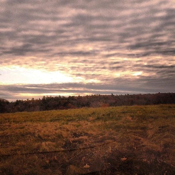 Farm Photograph - Good Morning! #sunrise #field #farm by Laura Vaillancourt