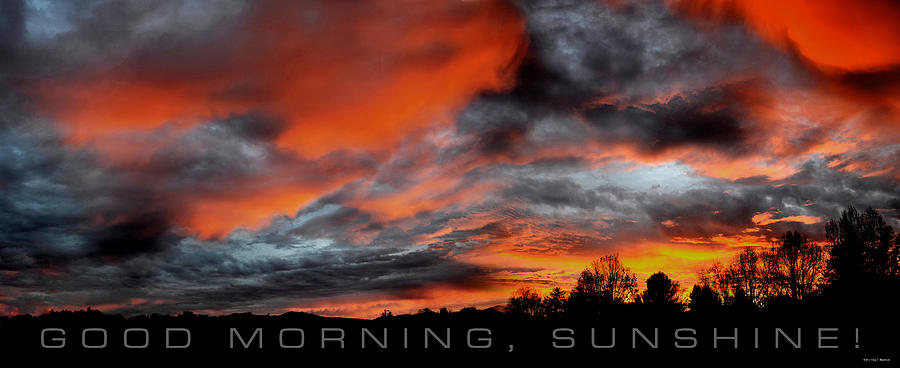 Good Morning Sunshine Photograph by Craig Burgwardt