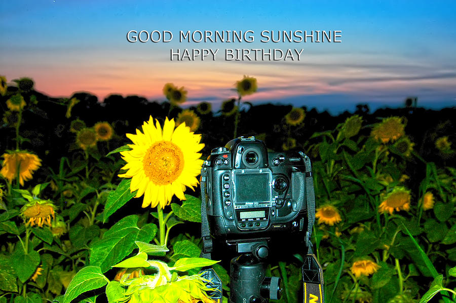 Good Morning Sunshine Happy Birthday Photograph by Randall Branham