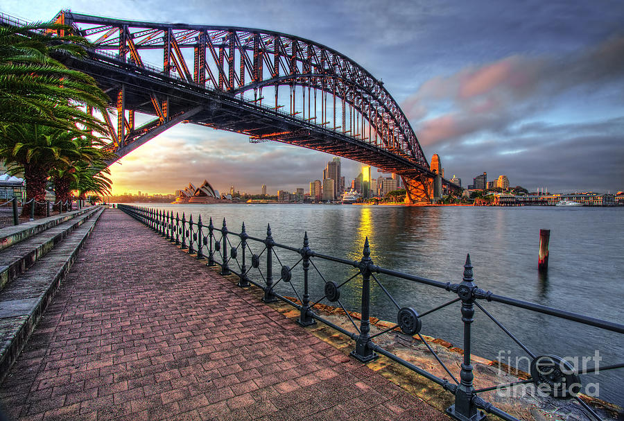 Good Morning Sydney Photograph by Linda D Lester