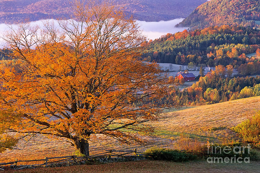 Fall Photograph - Good Morning Vermont by Alan L Graham