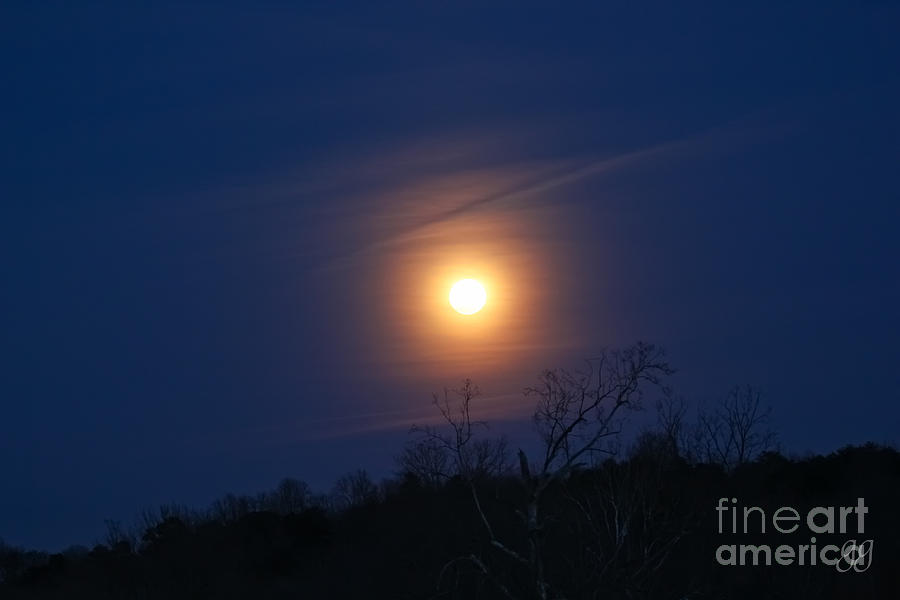 Good Night Moon Photograph by Geri Glavis