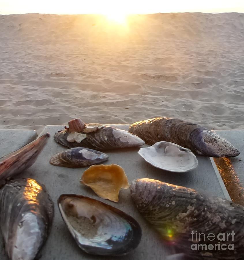 Sunset Photograph - Good Night Shells by Barbie Corbett-Newmin
