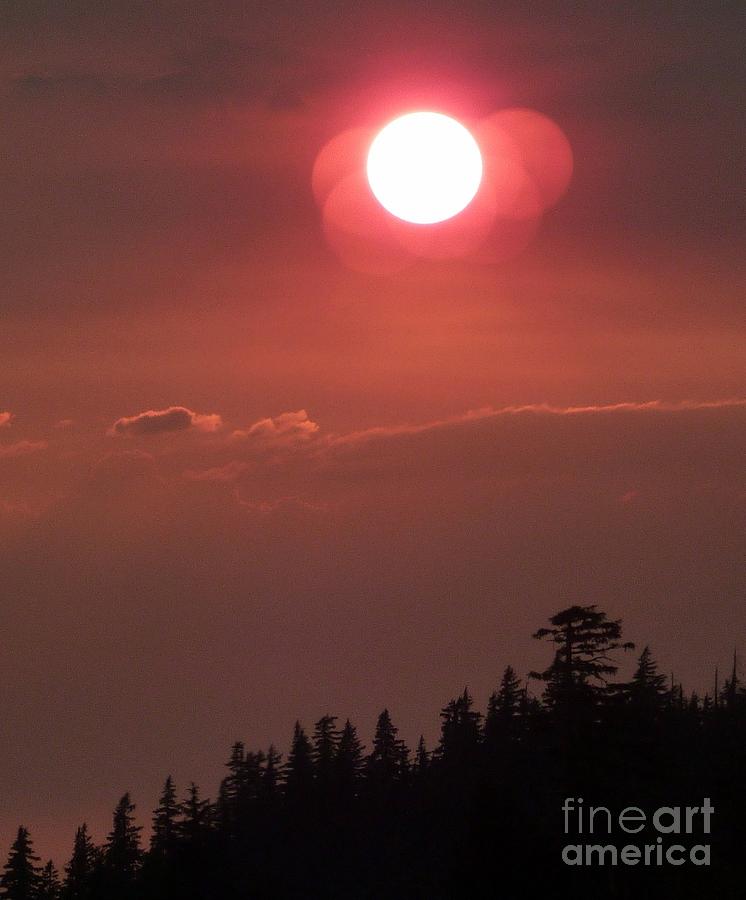 Good Night Sun  Photograph by Susan Garren