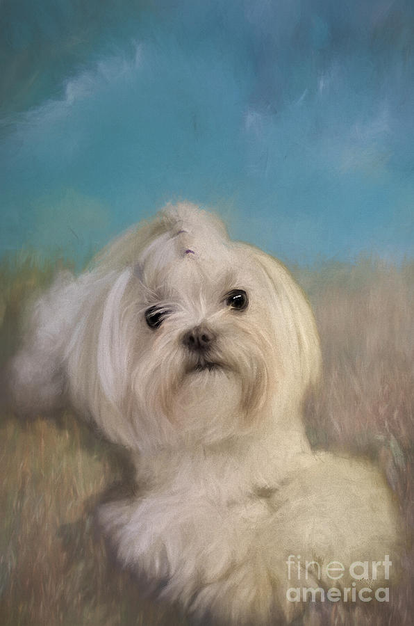 Dog Digital Art - Good Things Come In Small Packages by Lois Bryan