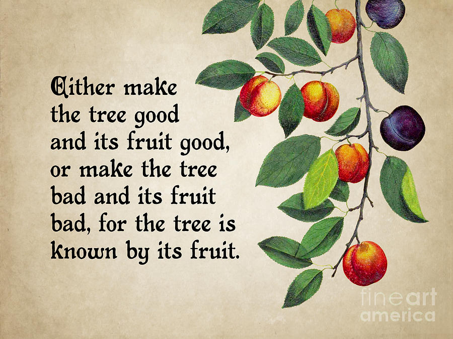 Good fruit good tree