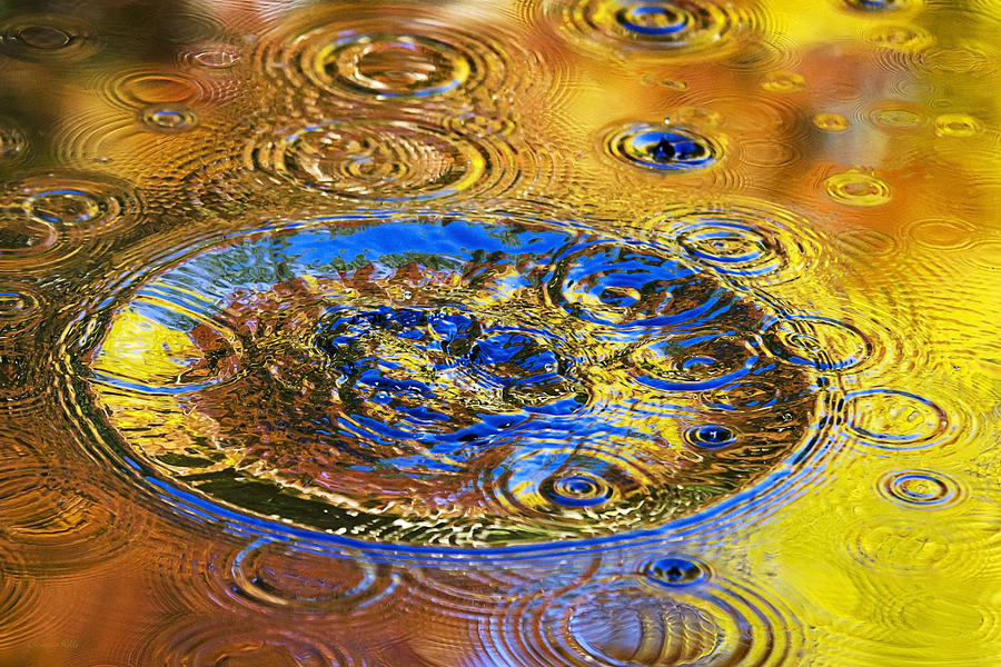 Nature Photograph - Color Splash by Christina Rollo