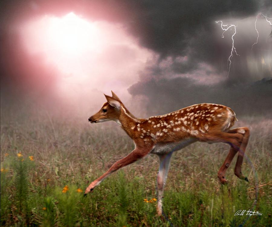 Deer Digital Art - Goodbye Bambi by Bill Stephens