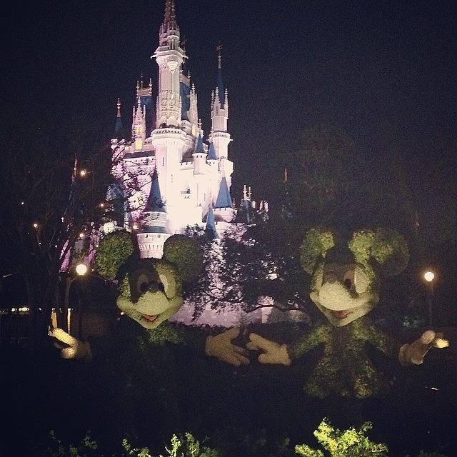 Pooped Photograph - Goodbye, Disney. You Shore Are Purdy At by Nichole Magoon