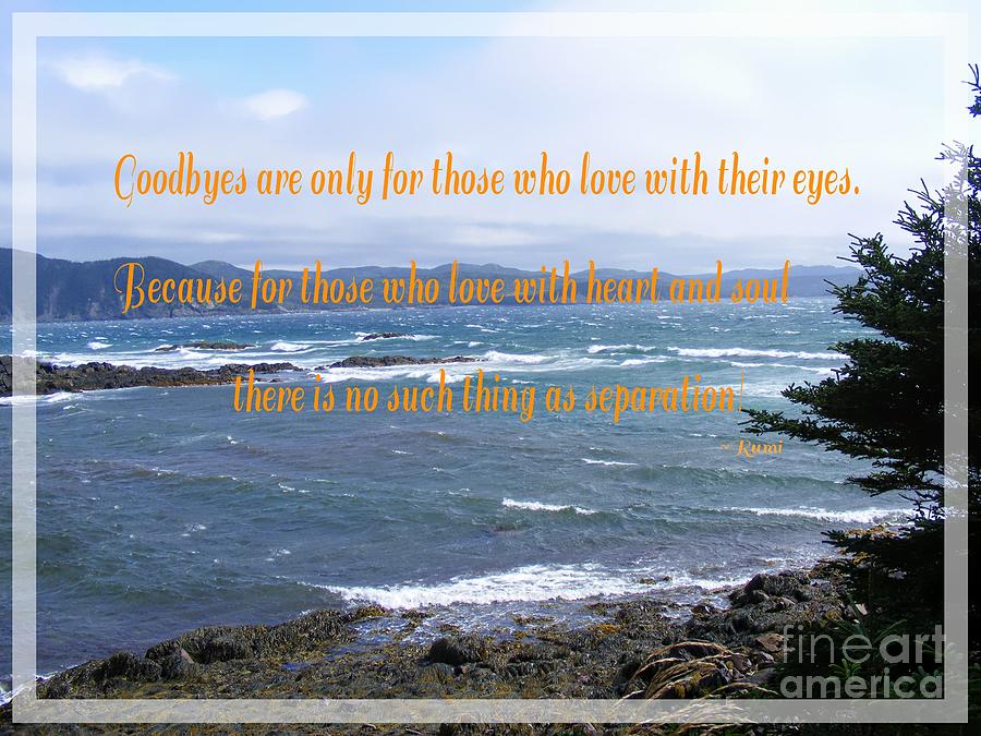 Goodbyes Rumi Quote Photograph by Barbara A Griffin