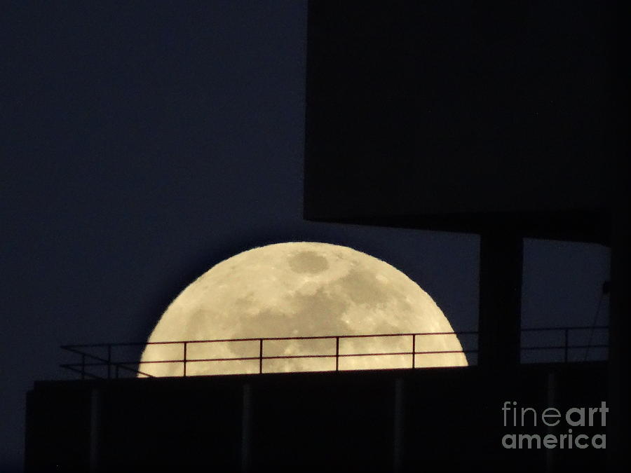 Moon Photograph - Goodnight Moon by Eugenia  Pak