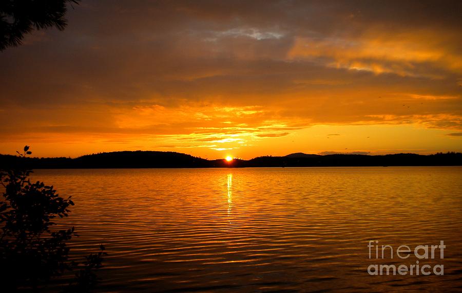 Nature Photograph - Goodnight Sun by Lisa Kilby