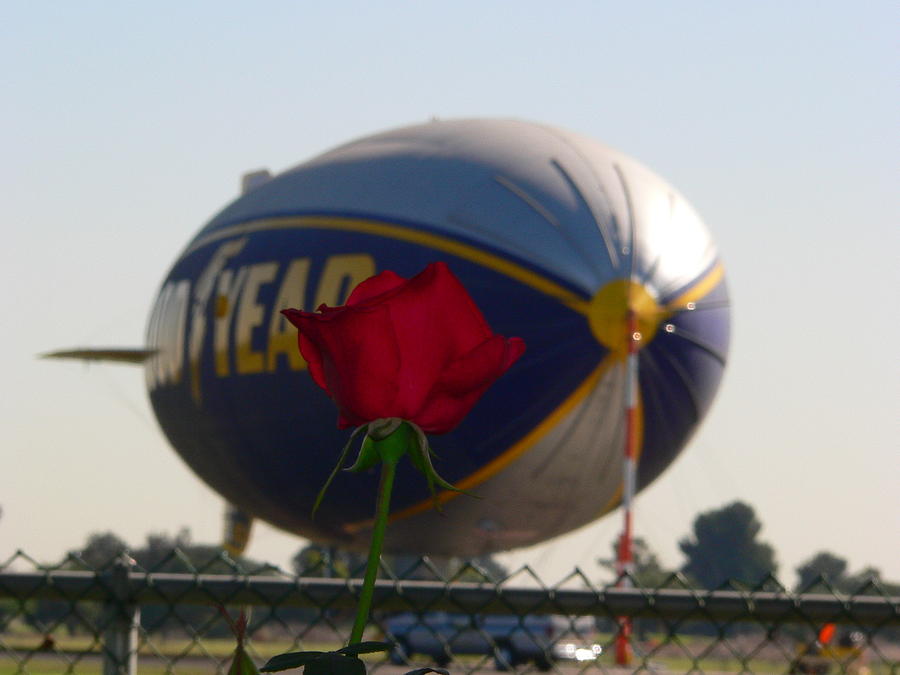 Goodyear Blimp With Red Rose Photograph by Jeff Lowe