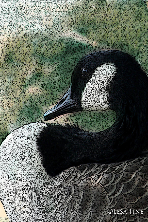 Goose Art Pap Daddy Goose II Mixed Media by Lesa Fine