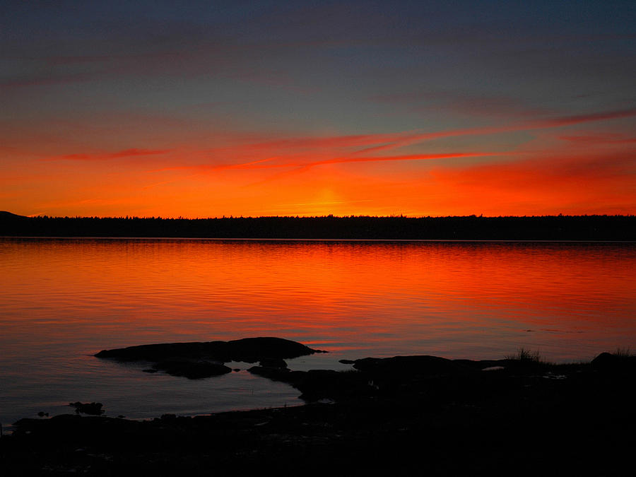 Goose Cove Bar Harbor ME Photograph by Alan Thal