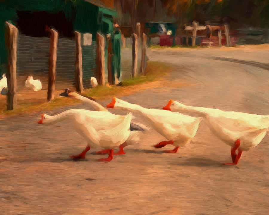 Goose Crossing Painting by Michael Pickett