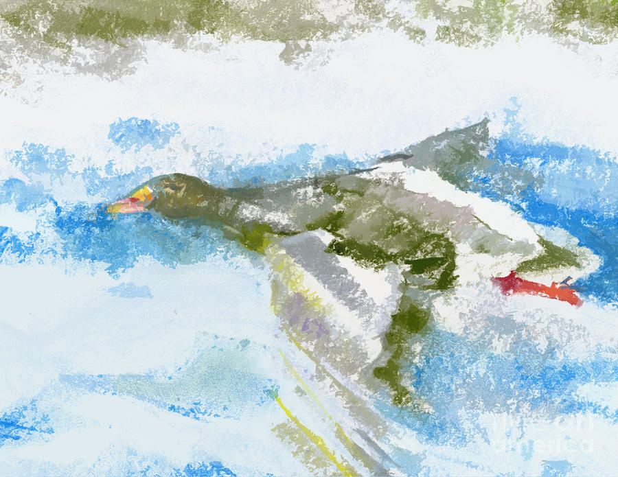 Geese Drawing - Goose in flight by Richard Gage