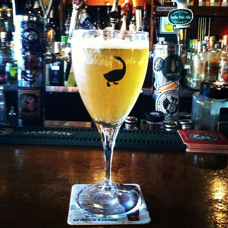 Beer Photograph - Goose Island Beer by Rosemary Nagorner