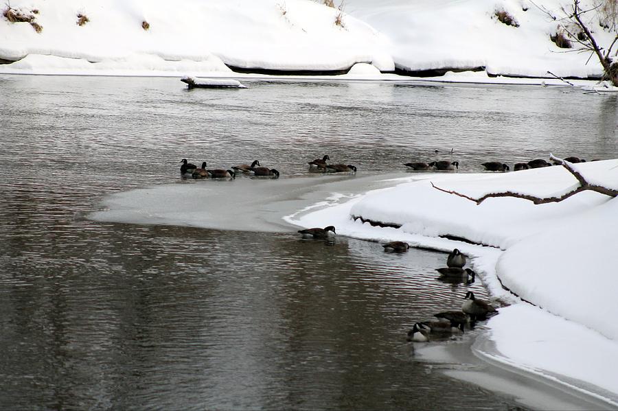Goose Pond Photograph