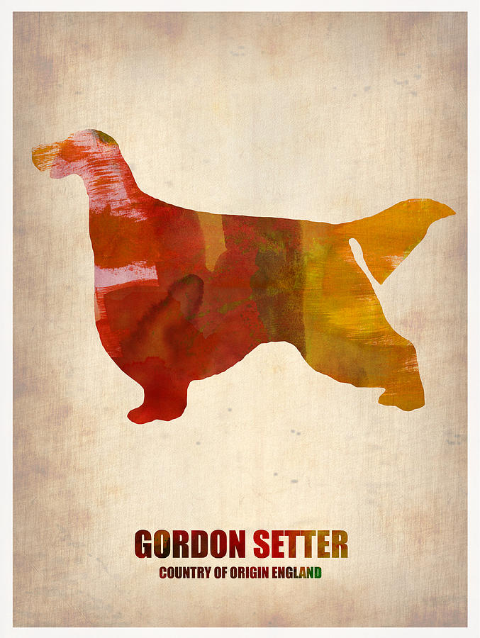 Dog Painting - Gordon Setter Poster 1 by Naxart Studio