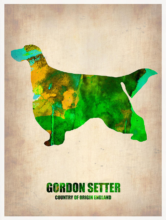 Dog Painting - Gordon Setter Poster 2 by Naxart Studio