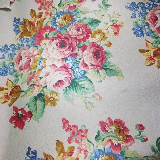 Gorg. Must Use This Fabric For Photograph by Kaitlyn Parker