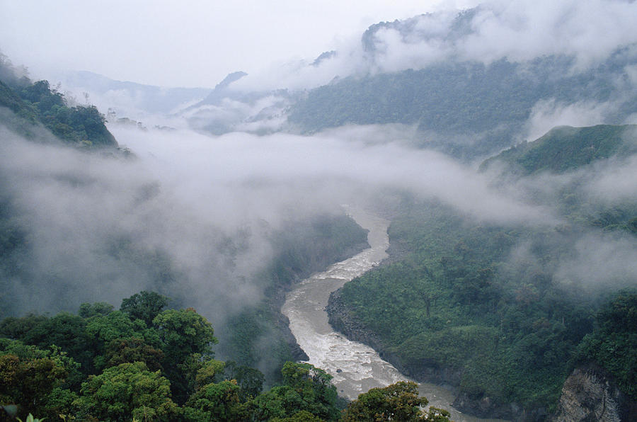 Gorge With Cloud Cover Quijos River Photograph by Michael and Patricia Fogden